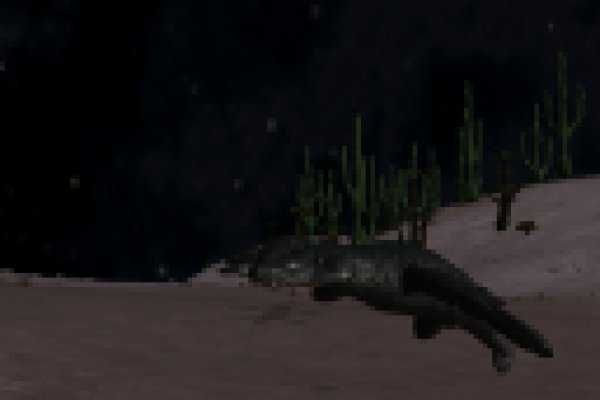 Kraken ltd