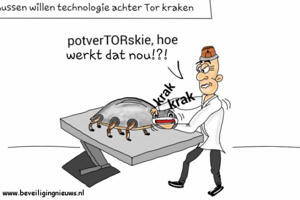 Что можно купить в кракене