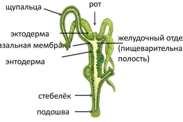 Кракен 16 вход
